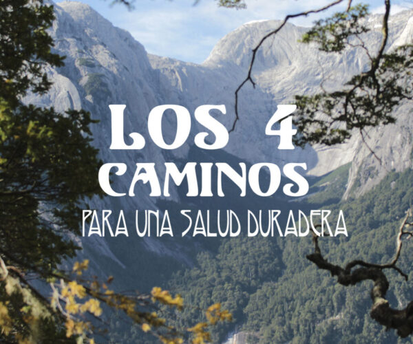 4caminos